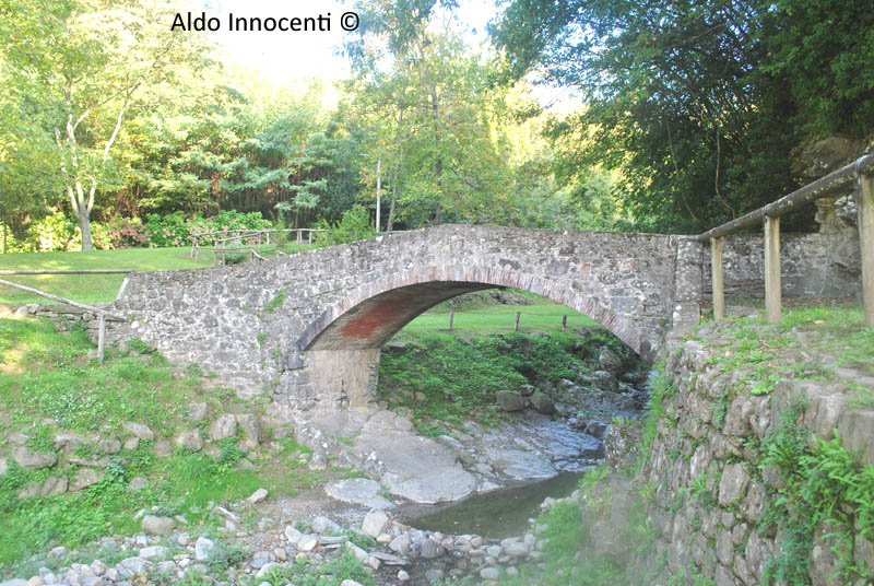 PONTE DELLA SEGA: PONTE 5